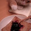 Cat with Jelly Toast
